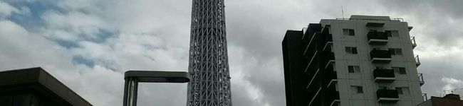 中澤柚希's header image