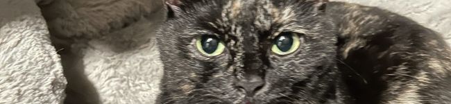 Charliemom's header image