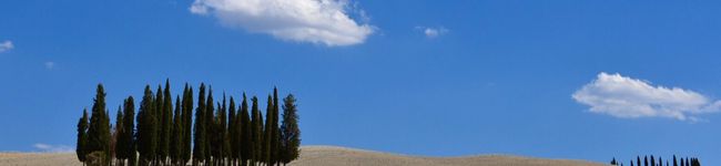 mayamaya98's header image