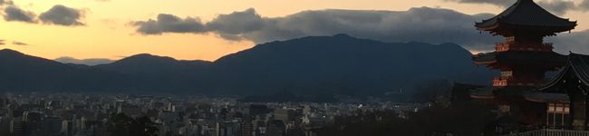 みーこanmomo's header image