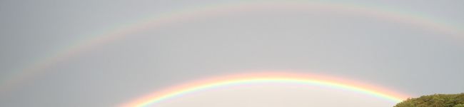 8011's header image