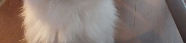 aya_mi's header image