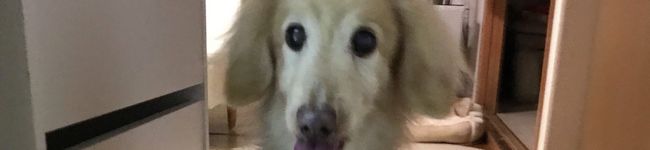 akimiy☆'s header image