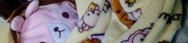 こもにんじん's header image
