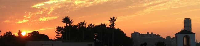 rihookoo's header image