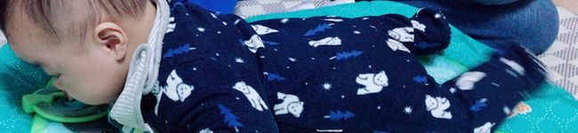 ARAISOFOOD's header image