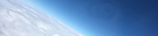 らん7's header image
