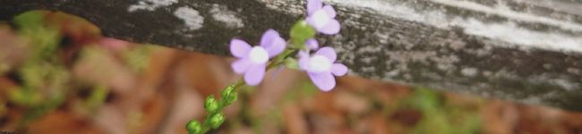 SUPER浩志's header image