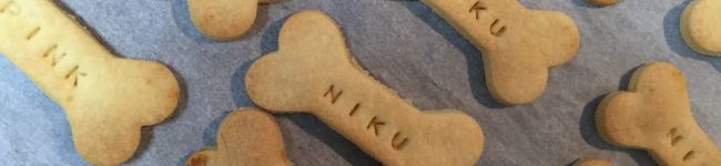 ピンクニク's header image