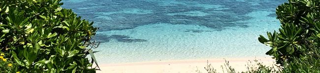 トミコ1203's header image