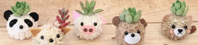ふぇいす★ふぁーむ's header image