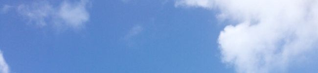 Mai0217EN's header image