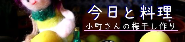 陽炎小町's header image