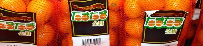 男の３０分料理's header image