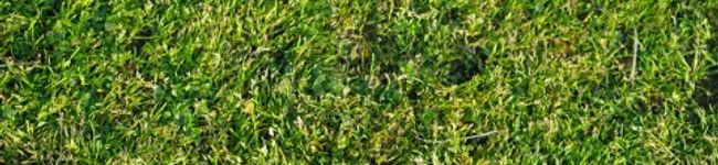 namix's header image