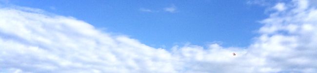 MakiまきMaki's header image