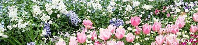 ♡エステティシャン♡'s header image
