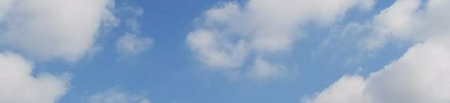 クックえさち's header image