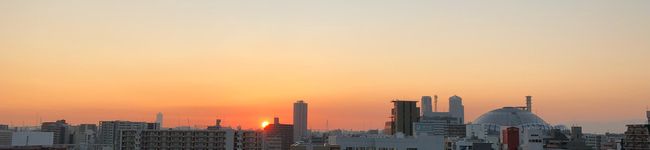 ずーさん先生's header image