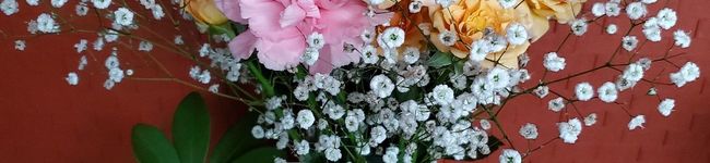 ❁Natalie༘❁'s header image