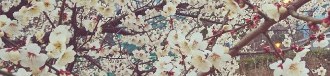 naoしゃり87's header image