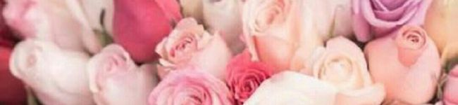 hidemi☆'s header image