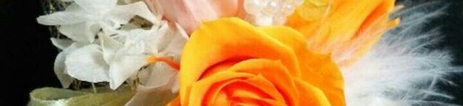 ☆コメット☆☆'s header image