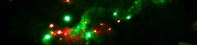クックFPCZ40☆'s header image