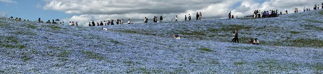 たかやんの休日's header image