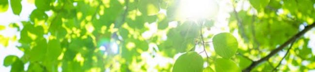 ごごchan☆'s header image