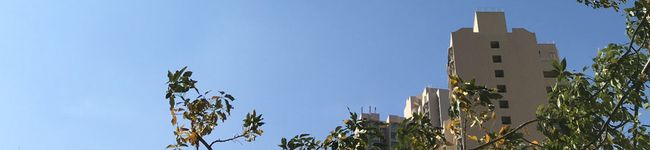 MikiHK's header image