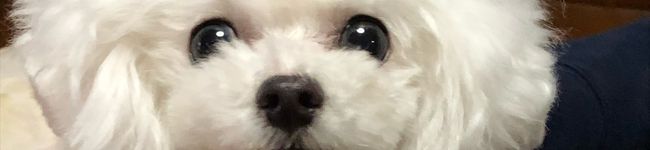 miichim♡'s header image