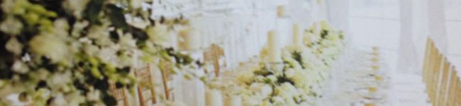 malcom's header image