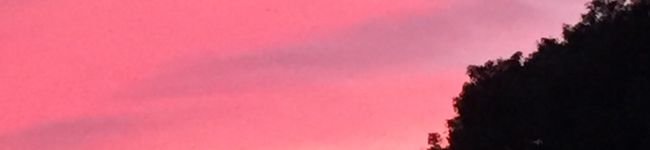 カラー☆'s header image
