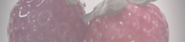 まいれーざー's header image