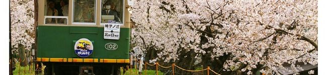 愛マナちゃん's header image
