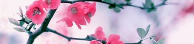 Juri♡KT's header image