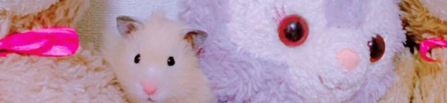 ゆぅあゃ✿'s header image