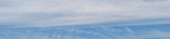 むっきむっき's header image