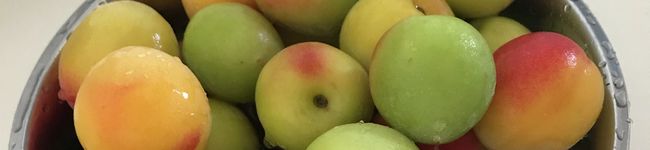 mesantwins's header image