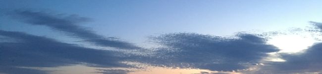 nine♬'s header image