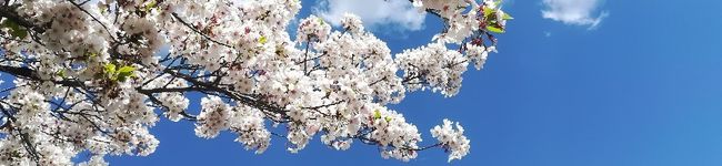 栄養士まち's header image