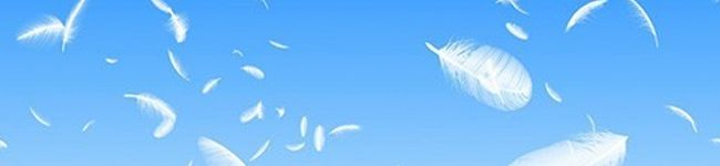 ぽゃ♪'s header image