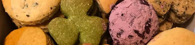 Mimotchy's header image