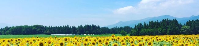 夜乃さん's header image