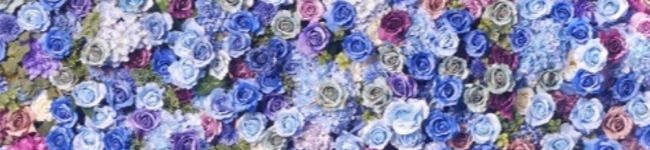 aiai☆☆'s header image