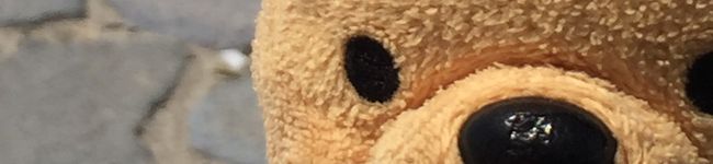 クックPH4LE2☆'s header image