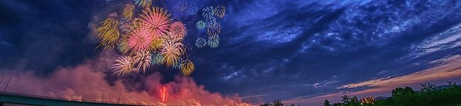枸杞松's header image