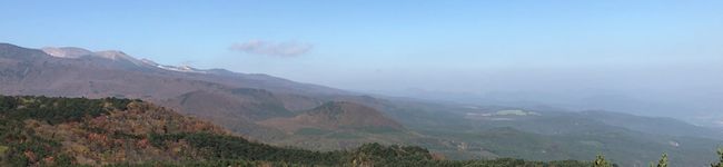pino0411's header image