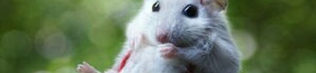 MIYU♪☆'s header image